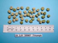 Click for 4 image(s) for this accession. Image